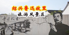 大鸡巴www中国绍兴-鲁迅故里旅游风景区